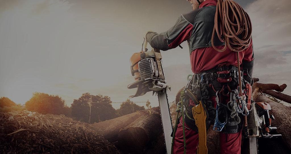 lumberjack with chainsaw isolated over black background