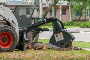 Stump Grinding In Vegas