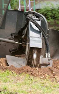 Stump Removal Las Vegas NV