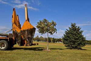Transplanting A Tree In Vegas With Tree Spade