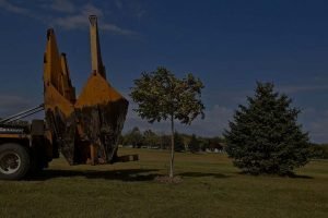 Transplanting A Tree In Vegas With Tree Spade